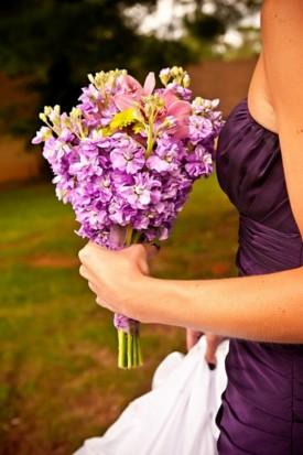 Flowers, bouquet, purple, flowers