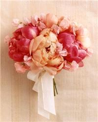 Flowers. flowers, bouquet, peach, pink