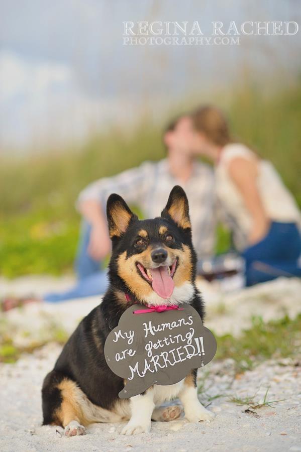 With Love, Great save the date idea for dog lovers!