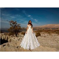 Tony Ward Fall/Winter 2018 Nightgift Sweet Chapel Train Champagne Off-the-shoulder Ball Gown Lace Ha