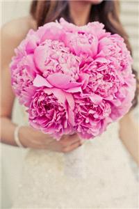 bouquet, pink