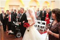 wedding dress, white, strapless, veil