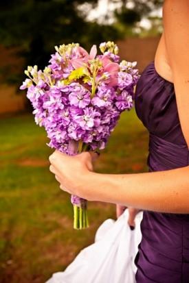 Flowers, bouquet, purple, flowers
