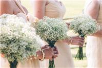 Attire. bouquet, bridesmaid