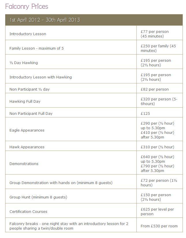 Falconry Experience Package