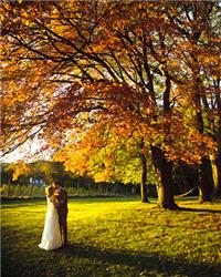 Decor & Event Styling. Gorgeous photo idea from Martha Stewart.