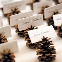 Accessories & Favours