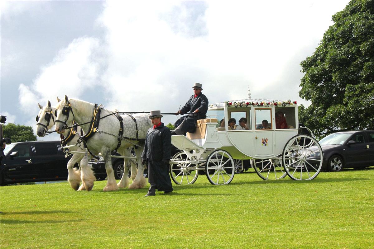 Arriving in Style