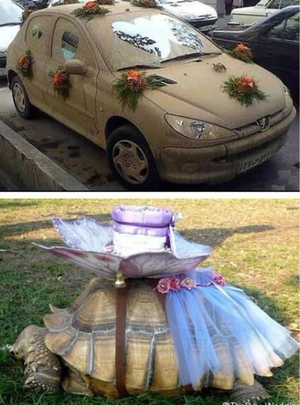 Wedding Cars
