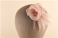 Hair & Beauty