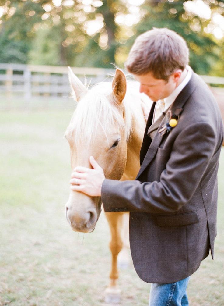 the Groom