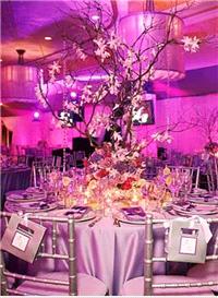 Decor & Event Styling