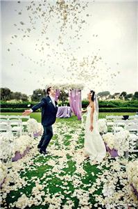 Decor & Event Styling