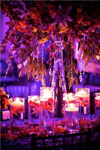 Decor & Event Styling