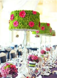 Decor & Event Styling