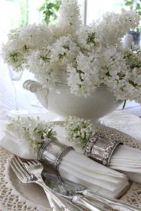 Decor & Event Styling