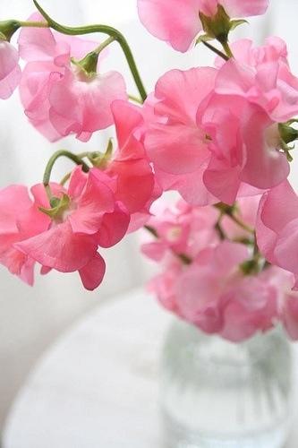 Decor ideas