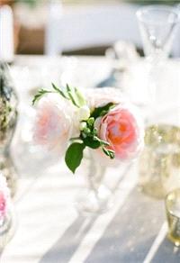 Decor & Event Styling