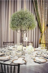 Decor & Event Styling