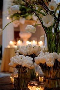 Decor & Event Styling