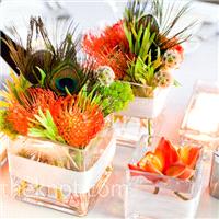 Decor & Event Styling