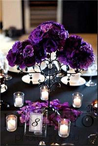 Decor & Event Styling