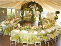 Decor & Event Styling