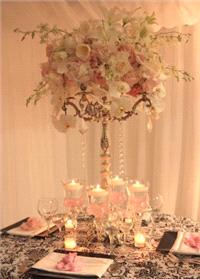 Decor & Event Styling