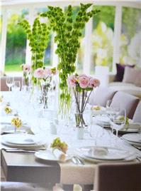 Decor & Event Styling