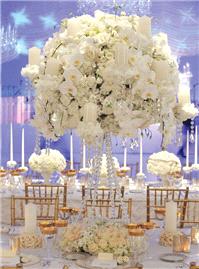 Decor & Event Styling