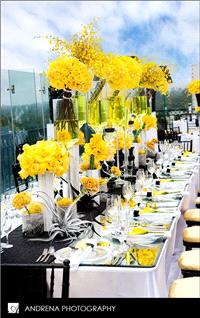 Decor & Event Styling