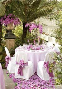 Decor & Event Styling