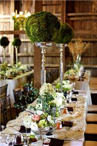 Decor & Event Styling