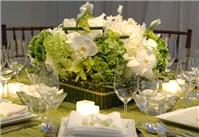 Decor & Event Styling