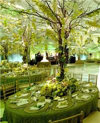 Decor & Event Styling