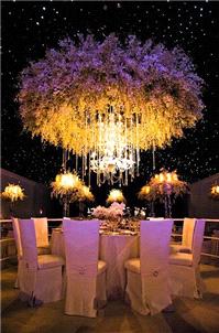 Decor & Event Styling