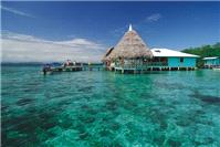 Honeymoons