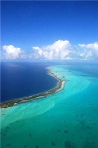 Honeymoons