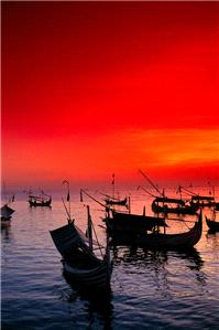 Honeymoons