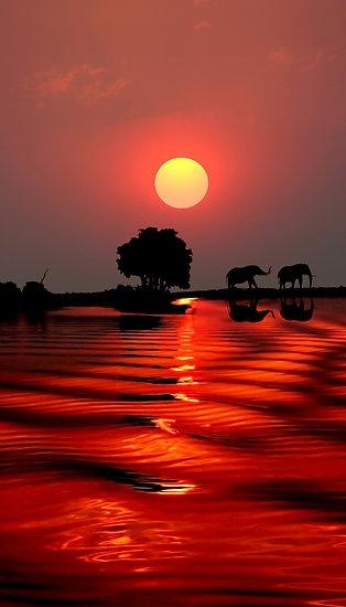 Honeymoon