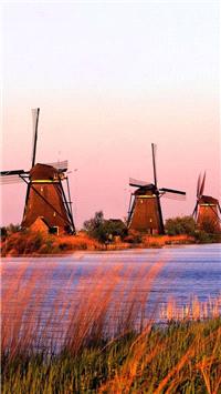 Honeymoons