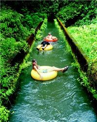 Honeymoons
