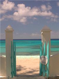 Honeymoons