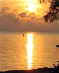 Honeymoons