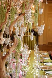 Decor & Event Styling