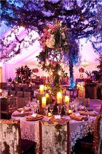 Decor & Event Styling