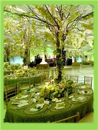 Decor & Event Styling