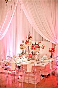 Decor & Event Styling