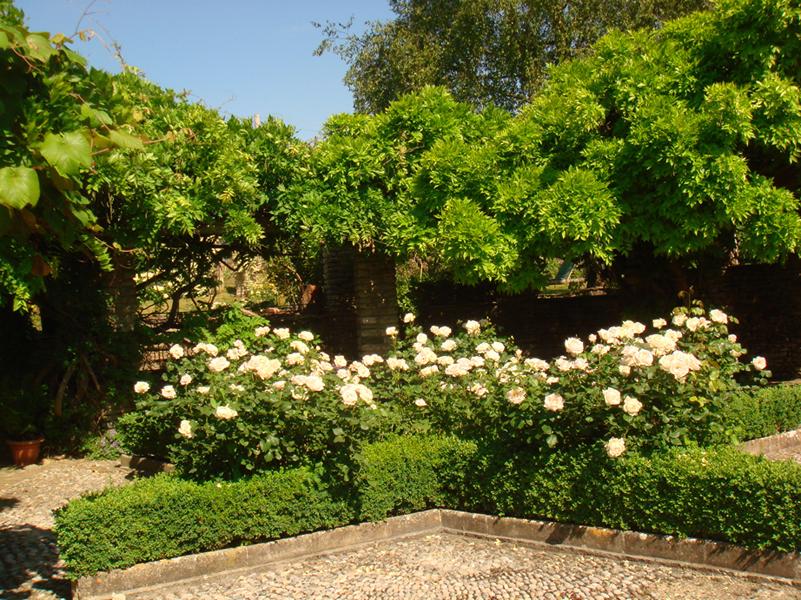 Gardens at Winkworth Farm