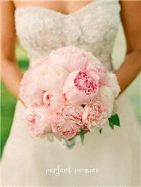 Attire. Bridal bouquet